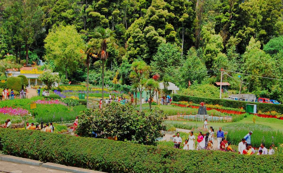 Kodaikanal Festivals & Celebrations